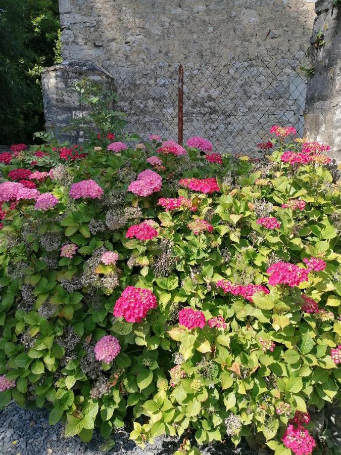 Maison Renovee En Pierres Sejour Spacieux Avec Jardin Et Terrasse Amenagee Pres Omaha Beach & Bayeux A 5Mn De La Mer Tous Commerces Commes Buitenkant foto