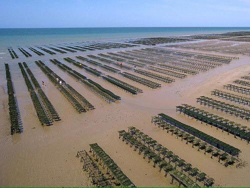 Maison Renovee En Pierres Sejour Spacieux Avec Jardin Et Terrasse Amenagee Pres Omaha Beach & Bayeux A 5Mn De La Mer Tous Commerces Commes Buitenkant foto
